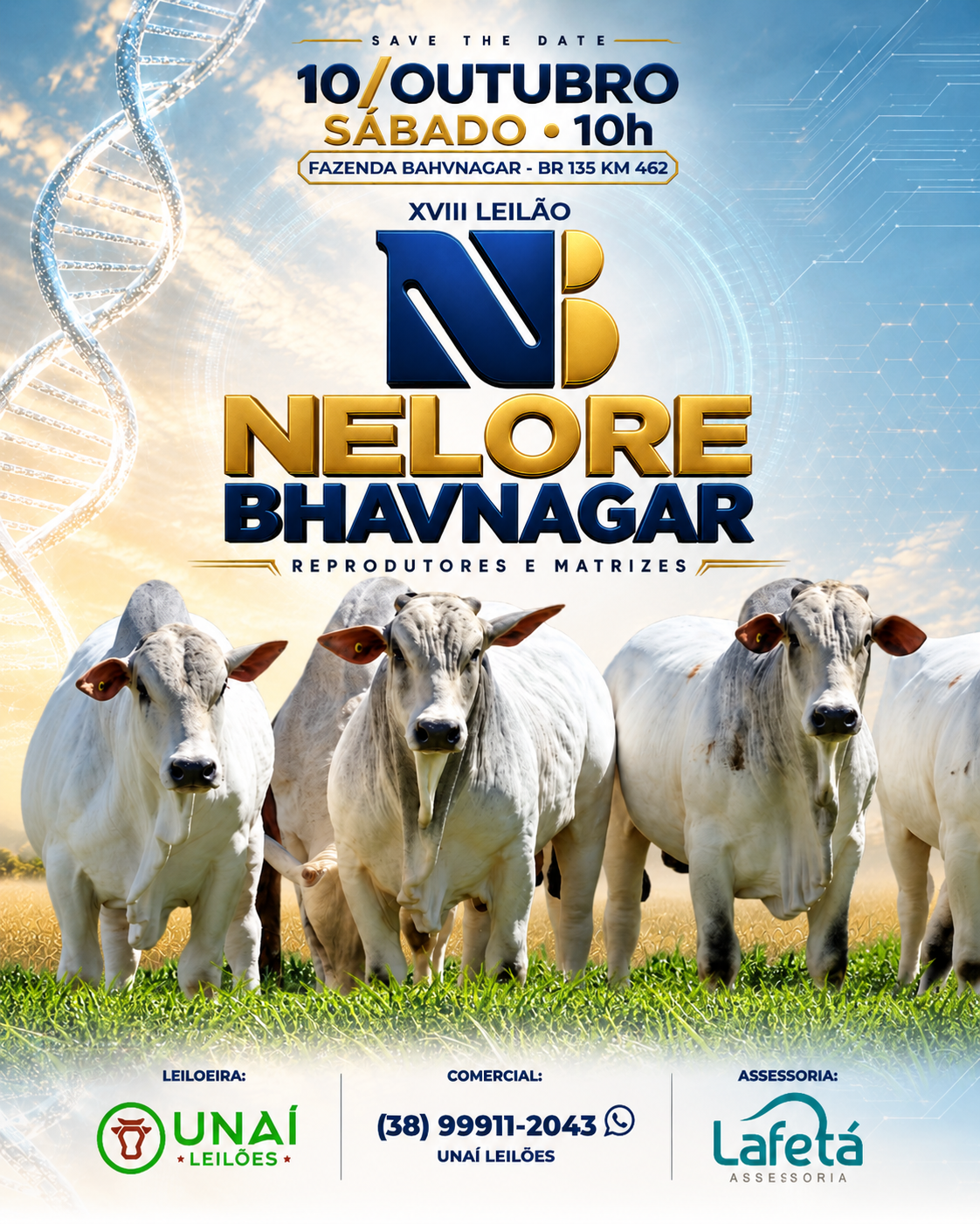 LEIL�O NELORE BHAVNAGAR - JOAQUIM FEL�CIO-MG